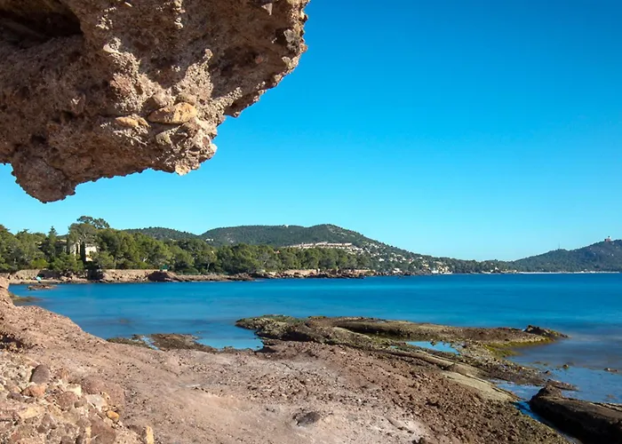 Διαμέρισμα Climatise Pour 3, Face Est, A 50m Et Proche Commerces - Fr-1-466a-23